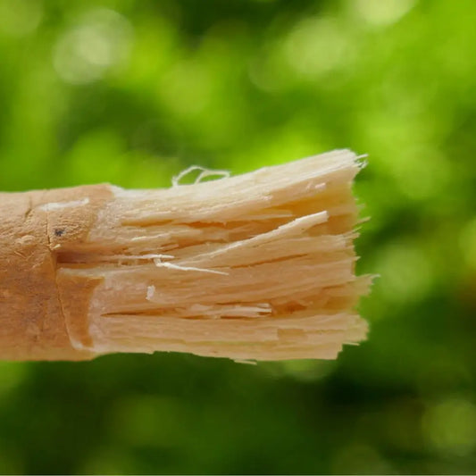 Szczoteczkuś naturalna szczoteczka do zębów - Przydawki